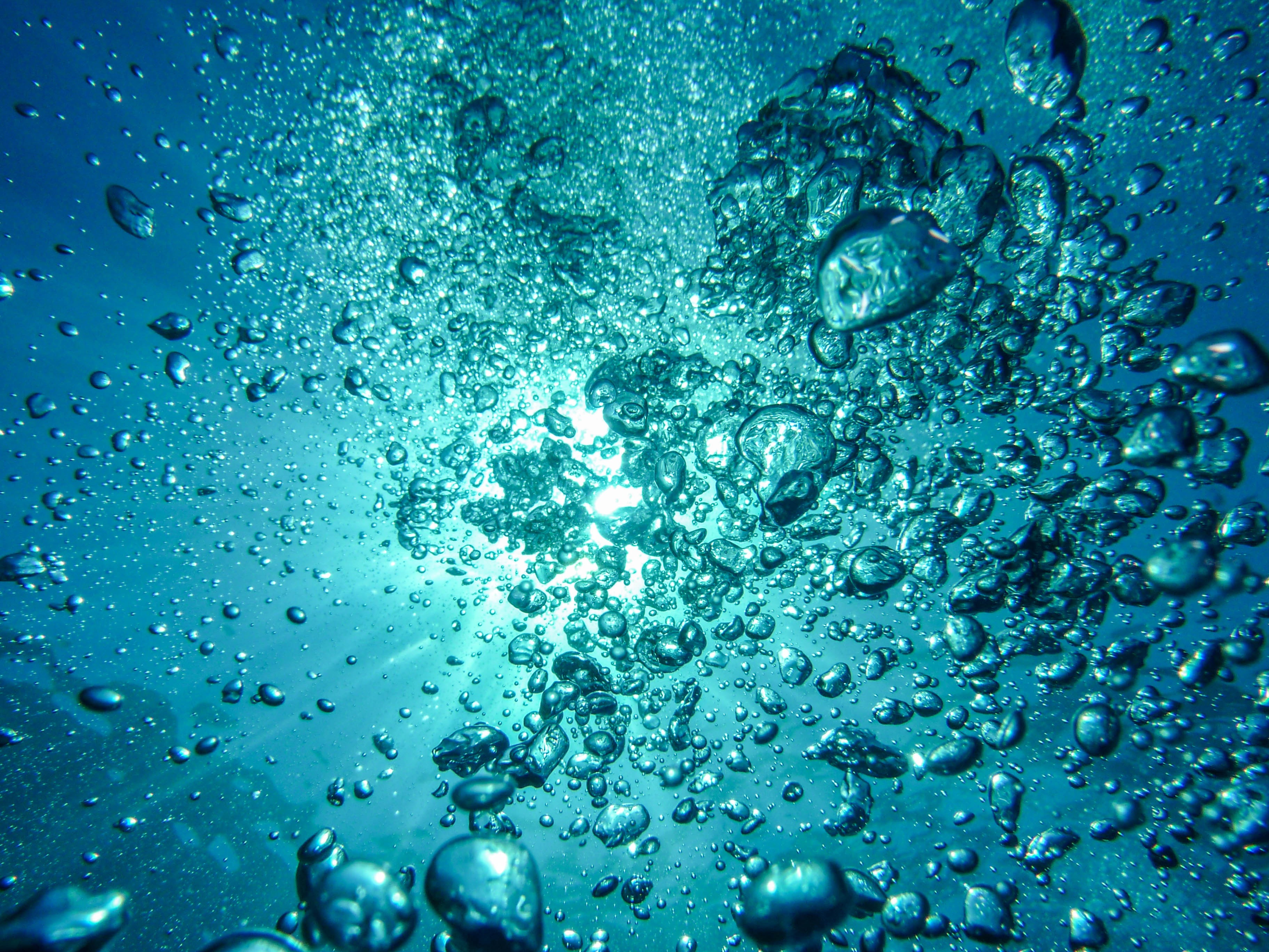 Selected image