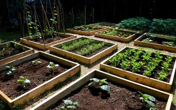 Εικόνα επιλογής