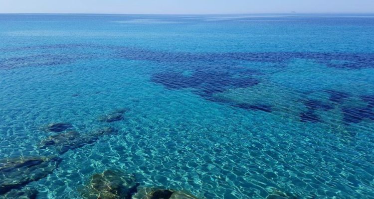 Εικόνα επιλογής