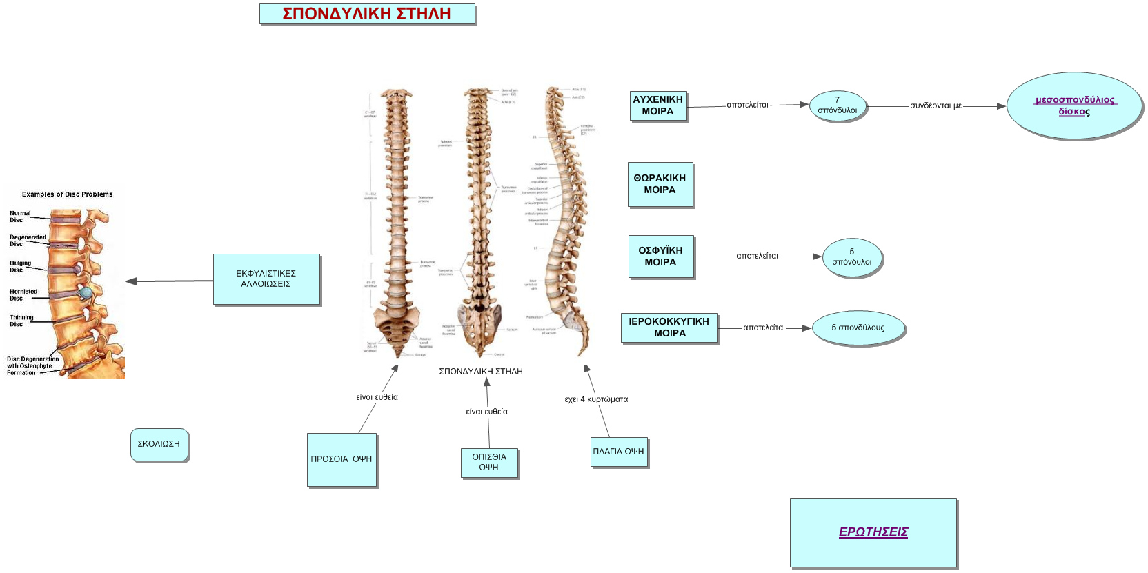 spinalcord.htm